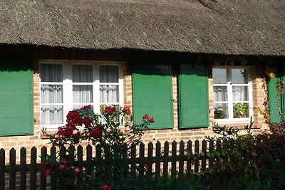 Vakantieappartement met 1 slaapkamer