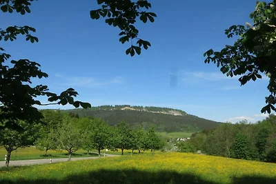 Vakantieappartement met 1 slaapkamer