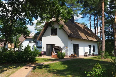 Meine kleine Sansibar 1