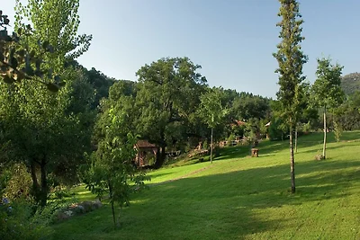 Ferienhaus Die Schildkröte in Alájar