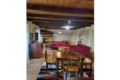 Vakantiehuis in Barbići met zwembad