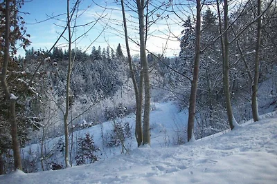 Ferienhaus mit 2 Schlafzimmer