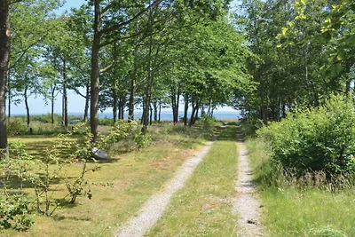5 Personen Ferienhaus in Thyholm-By Traum