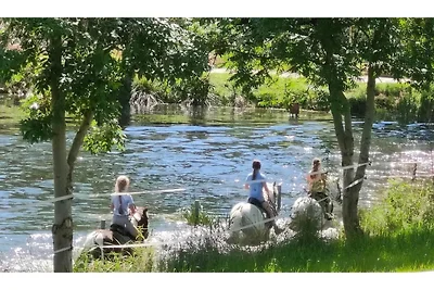Tiny House in der Nähe von Dresden