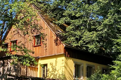 Vakantiehuis in Sebnitz met zwembad