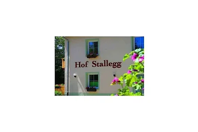 Dom wakacyjny Lotus Hof Stallegg