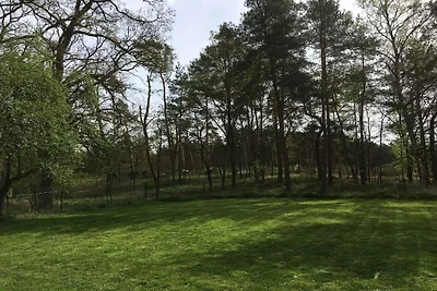 Vakantiehuis met 4 slaapkamers