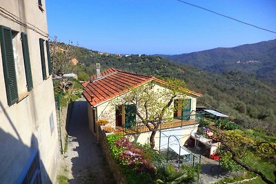 Ferienhaus am Hang mit Terrasse