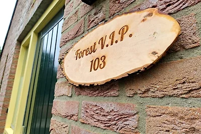 Erhöhtes Ewijk-Ferienhaus für 6 Pers.