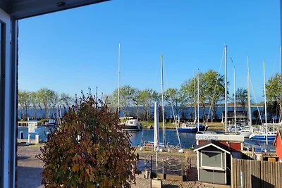 Ośrodek wypoczynkowy Orther Reede,...