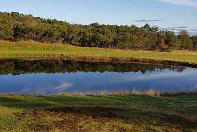 10 Personen Ferienhaus in Thisted-By Traum
