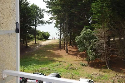 Ferienwohnung in unmittelbarer Strandlage,Beg...