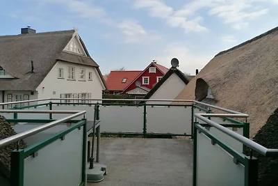 Sterntaucher 04