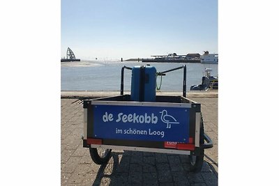 De Seekobb - strandzwerver