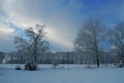 Chalet a Hengelo vicino a riserve naturali