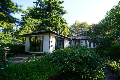 Ferienhaus in Lochem mit Terrasse