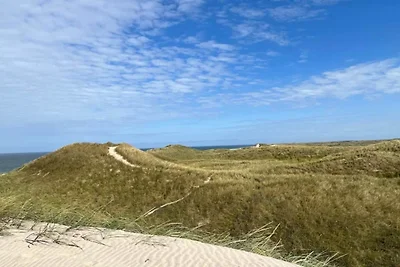 4 stelle case ad Ulfborg