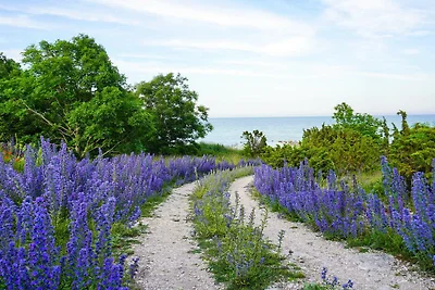 4 Sterne Ferienhaus in Burgsvik