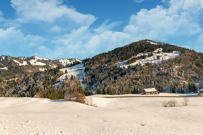 Hundefreundliche Ferienwohnung im...