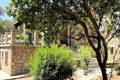 Häuser & Villen für 10 Personen