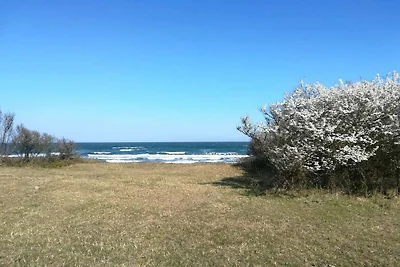 4 Personen Ferienhaus in Gedser