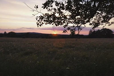 Terrassenwohnung mit Wald