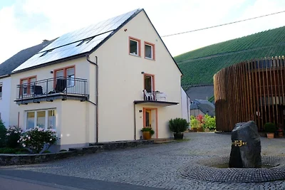 Pinot Noir im Weingut Regnery
