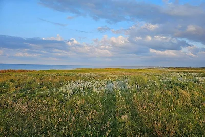 8 persoons vakantie huis in Ørsted