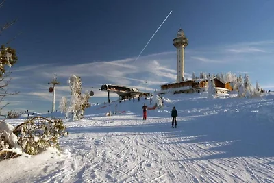 Wohnung in der Nähe des Skigebietes in...