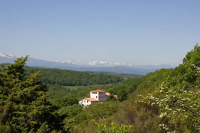 Marsanne ou Grenache