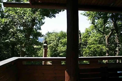 Ferienhaus für 6 Personen in Diemelsee