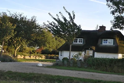 Maison de vacances avec 2 chambres