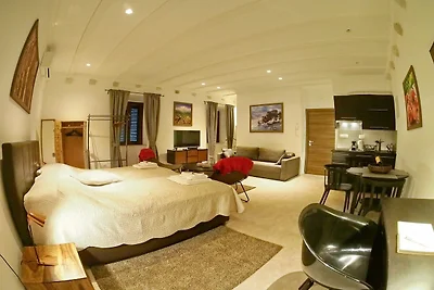 Studio Apartment (Elegant)