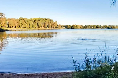 4 Sterne Ferienhaus in Holmsjö