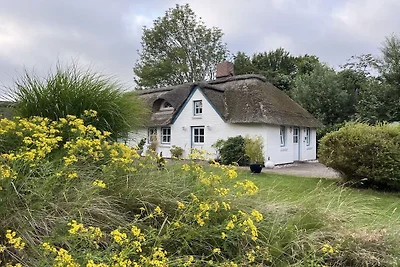 Vakantiehuis in Tating met zwembad