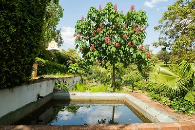 Villa di campagna a Montemor-o-Novo con...