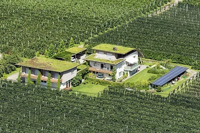 "Rosso" nella fattoria Sandweisen