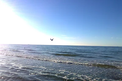 Wunderschoenes Ferienhaus in Zierow am Meer