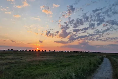 6-Personen-Haus in Ærøskøbing-By