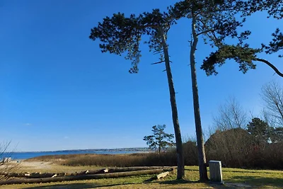 5 Personen Ferienhaus in Middelfart-By Traum