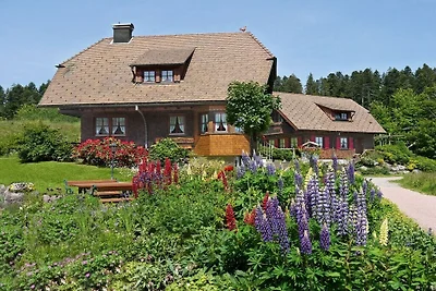 Appartamento per vacanze di 2 locali nella ca...