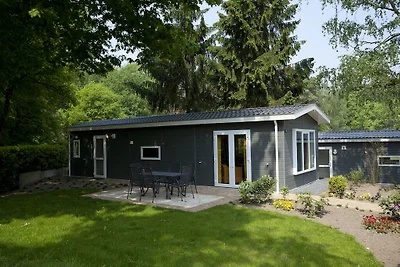 Well-kept chalet near the Maasduinen