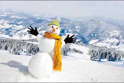 Attraktives Chalet mit Whirlpool