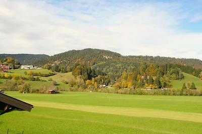 Alpenflair Ferienwohnung 216