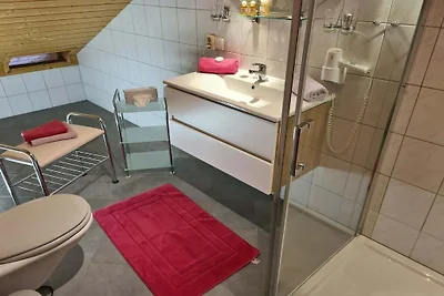 Schwalbennest im Ferienhaus Alt