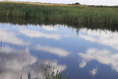 6 persoons vakantie huis in Hals-By Traum