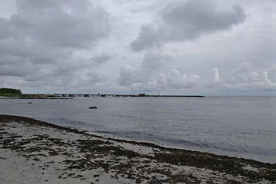 5 persone case ad Dannemare-By Traum