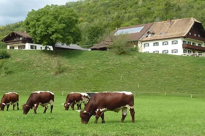 Ferienwohnung mit 3 Schlafzimmer