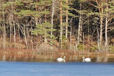 6 Personen Ferienhaus in STRÖMSTAD