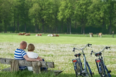 Ferienhaus für vier Personen in Scherpenzeel